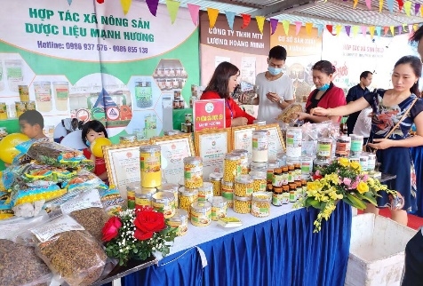 Cần có chính sách hỗ trợ sản phẩm OCOP trong giai đoạn 2021-2025
