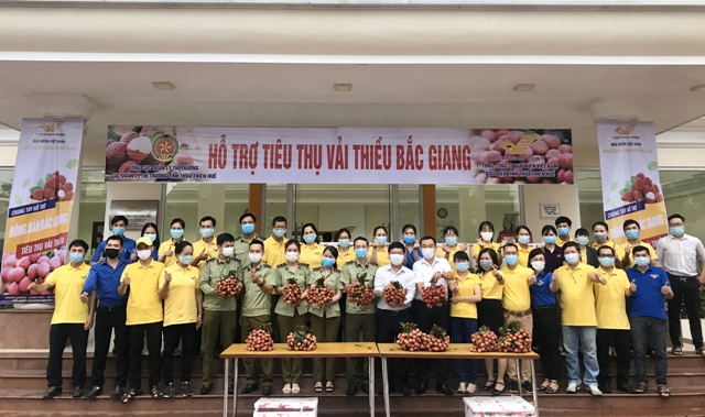 Thừa Thiên Huế: Hỗ trợ tiêu thụ vải thiều Bắc Giang