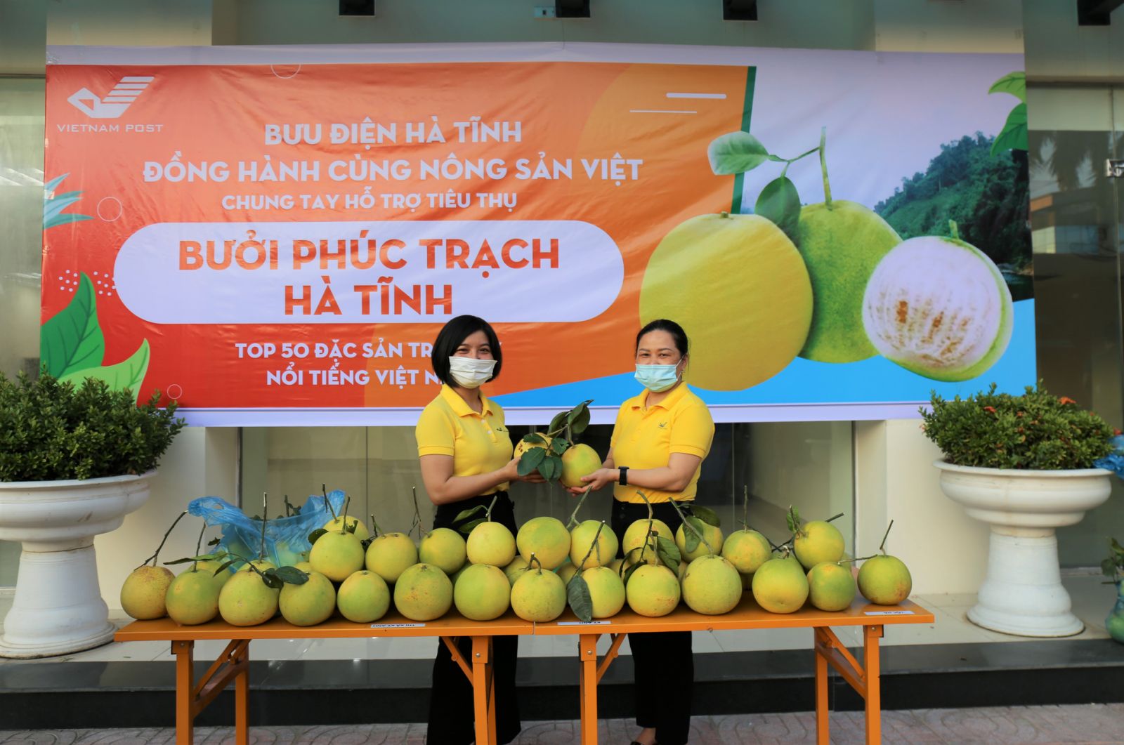 Bưởi Phúc Trạch chính thức “lên sàn” TMĐT Postmart.vn 