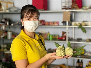 Vietnam Post triển khai gói đồng giá cước vận chuyển na Lạng Sơn 