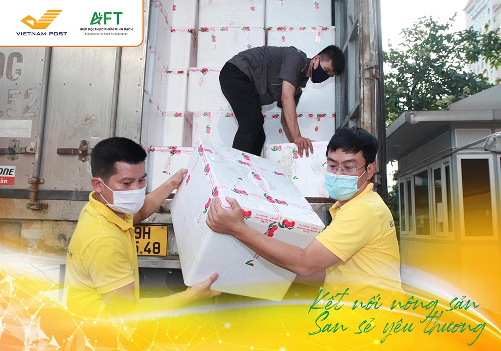 Bưu điện Việt Nam và Hiệp hội Thực phẩm Minh bạch chung tay tiêu thụ vải Bắc Giang