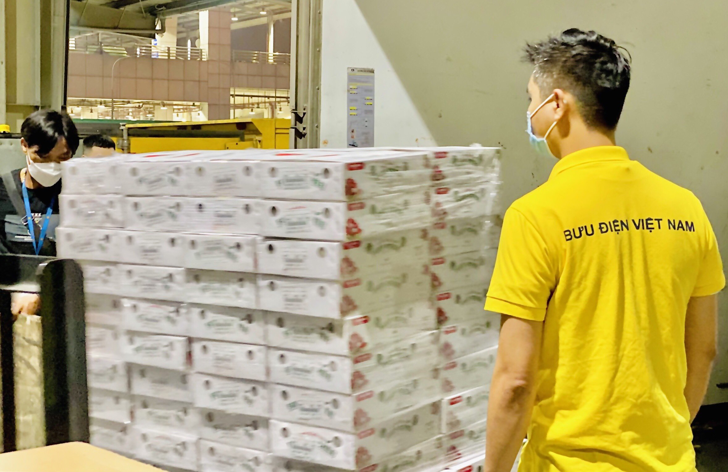 Vietnam Post: Khi hỗ trợ tiêu thụ nông sản không dừng lại ở thị trường trong nước