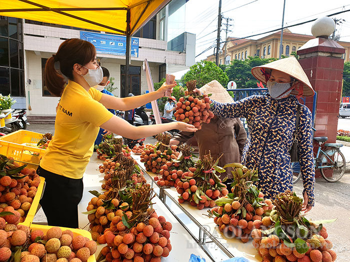 Lạng Sơn: Hỗ trợ tiêu thụ vải thiều Hữu Lũng