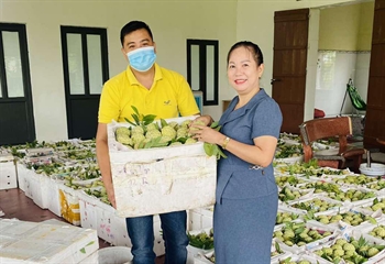 Na bắt đầu chín rộ, Vietnam Post khẩn trương hỗ trợ nông dân tiêu thụ