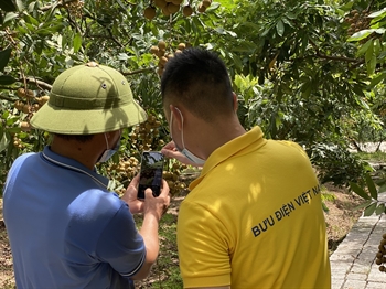 Đưa 2,5 triệu hộ sản xuất nông nghiệp lên sàn TMĐT Postmart.vn trong năm 2021