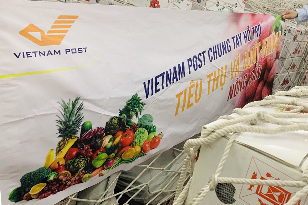 Vietnam Post dành trọn tải chuyến bay chuyển vải thiều xuất khẩu đến Nhật Bản