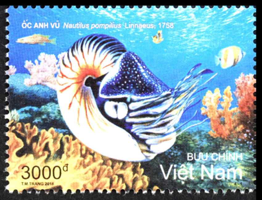 Giới thiệu bộ tem “Biển, đảo Việt Nam: Sinh vật biển”