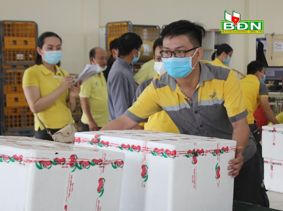 Đắk Nông: Tiêu thụ 8 tấn vải thiều Bắc Giang đợt 2