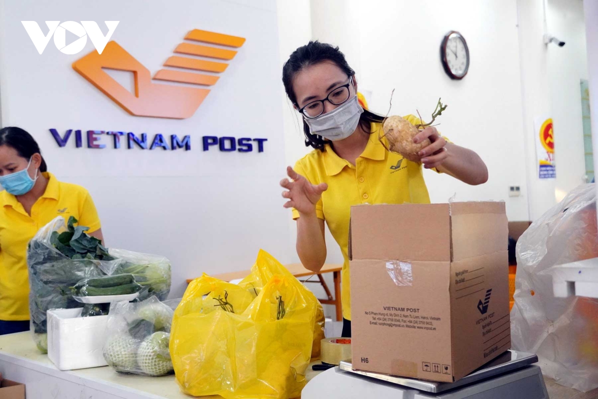 Kinh tế nông nghiệp Hải Dương đang phục hồi sau đại dịch