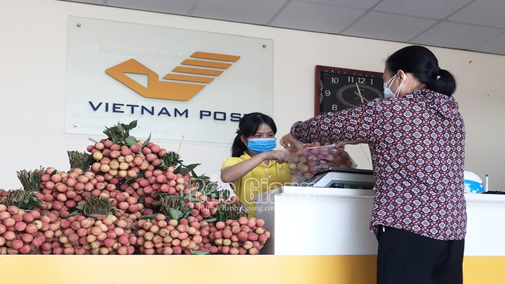 Công đoàn Bưu điện tỉnh Bắc Giang triển khai bán vải thiều không lợi nhuận