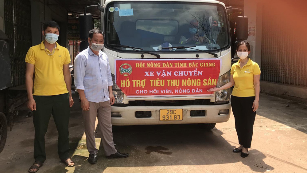 Bắc Giang: Hội Nông dân, Bưu điện tỉnh liên kết tiêu thụ nông sản cho nông dân