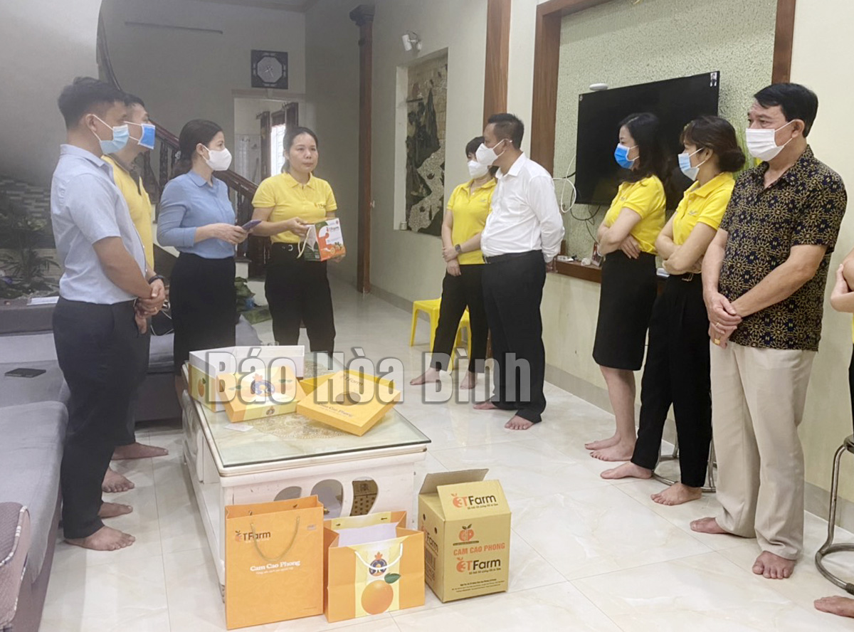 Huyện Cao Phong: Thúc đẩy tiêu thụ cam trên sàn thương mại điện tử