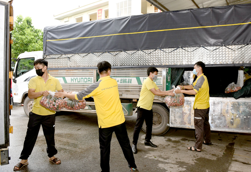 Tuyên Quang: Đầu mối hỗ trợ tiêu thụ nông sản cho người dân