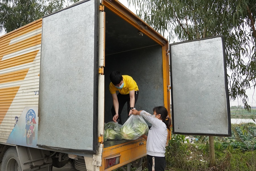 Sàn TMĐT Postmart.vn giúp nông dân Hải Dương tiếp cận phương thức kinh doanh mới