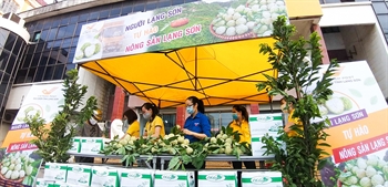 Bưu điện tỉnh Lạng Sơn tiêu thụ 2 tấn Na trong ngày tổ chức bán hàng trực tiếp