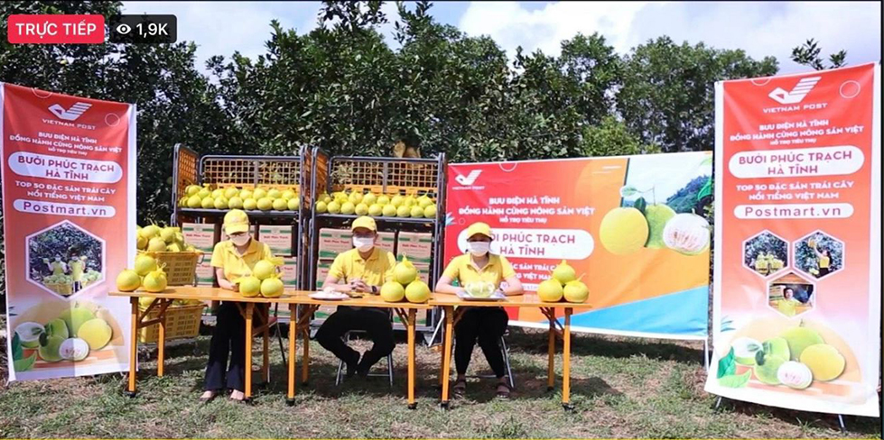 Kết nối tiêu thụ Bưởi Phúc Trạch trên sàn Postmart.vn