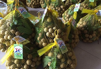 Bưu điện Phú Yên: Hỗ trợ tiêu thụ 5,5 tấn nhãn cho nông dân Đồng Tháp