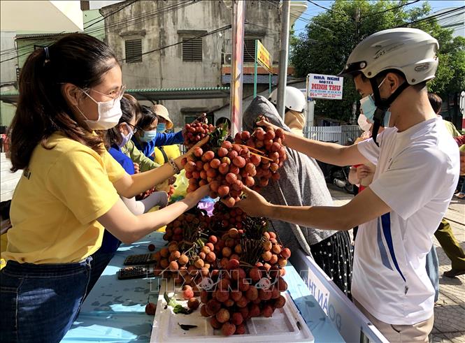 Quảng Ngãi hỗ trợ tiêu thụ vải thiều Bắc Giang