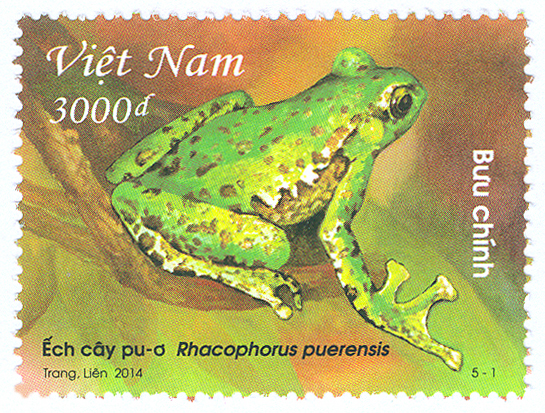 Phát hành bộ tem bưu chính “Ếch cây” 