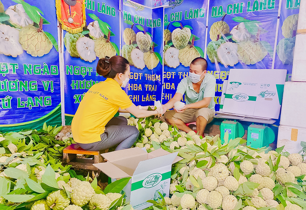 Nhà nông xứ Lạng bắt nhịp thương mại điện tử qua sàn Postmart