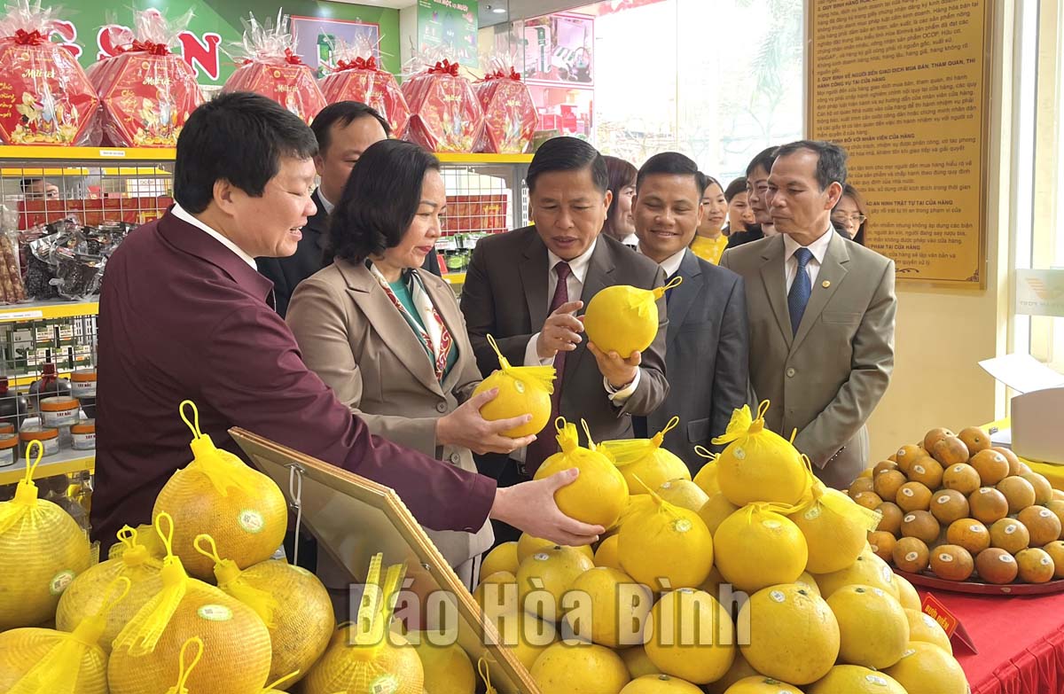 Hòa Bình: Khai trương cửa hàng nông sản tiêu biểu - OCOP