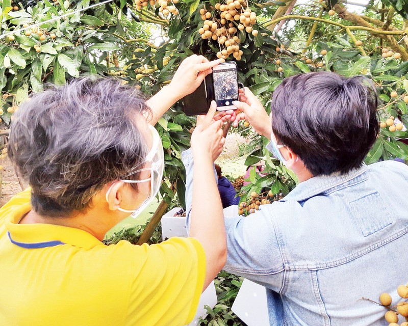 Phát triển nền tảng thương mại số cho khu vực nông thôn