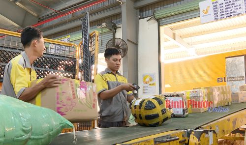 Bưu điện tỉnh Bình Phước: Đồng hành thúc đẩy chuyển đổi số