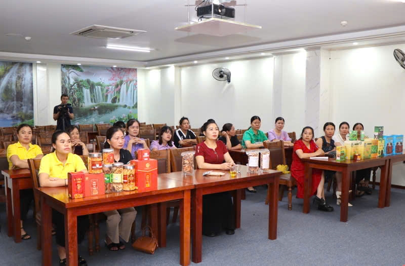 Tập huấn kỹ năng quản trị, ứng dụng công nghệ thông tin trong quản trị kinh doanh, tham gia thương mại điện tử
